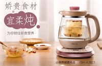 養(yǎng)生壺
