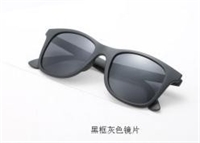 近視/陽光兩用防護太陽鏡 L013