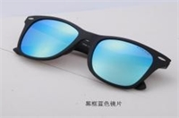 近視/陽光兩用防護太陽鏡 L013