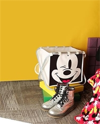 HI!MICKEY  時(shí)尚卡通收納籃