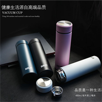 梵施 商務(wù)保溫杯 F248A