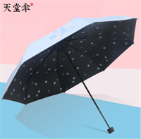天堂傘 33615E巴黎春天