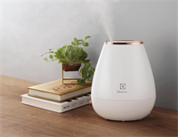 EGEH750 超聲波加濕器