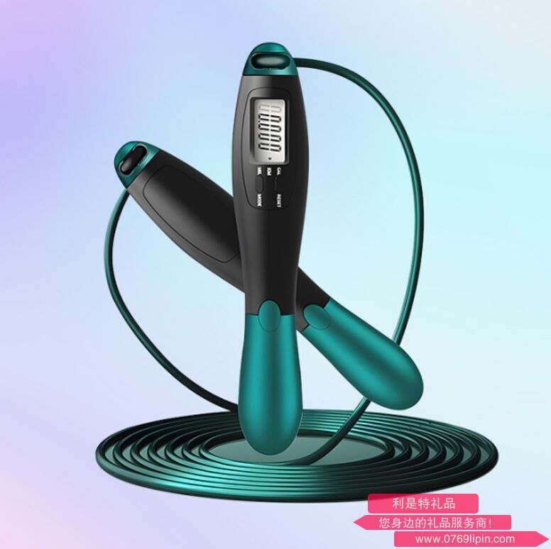 智能計數跳繩 KA-1080.png