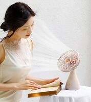 向物桌面風(fēng)扇- 手捧花