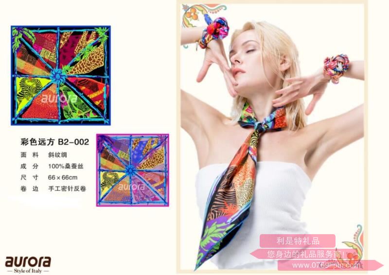 aurora絲巾 彩色遠方 B2-002.jpg